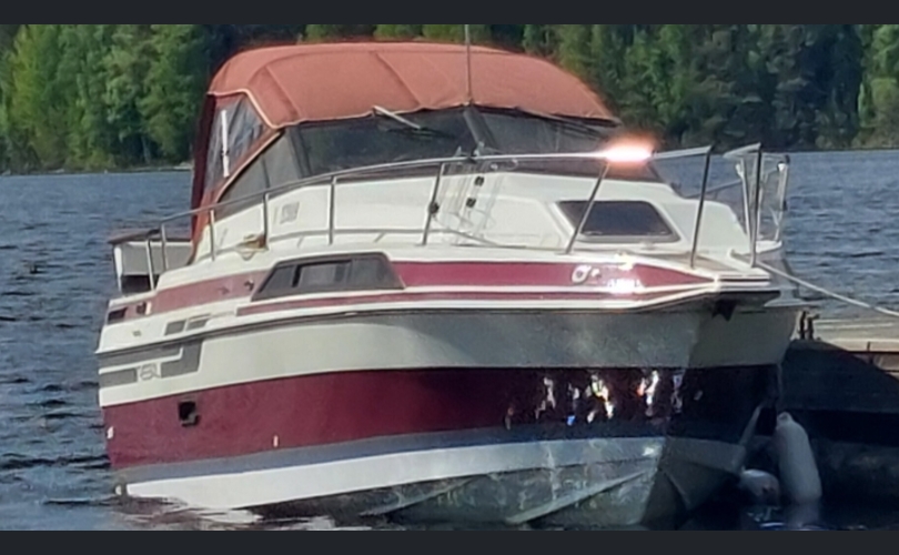 Regal 255XL AMASSADOR-kuva-10